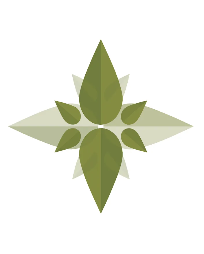 Des plantes sur la lune I Designer Graphique & Illustratrice à Montpellier
