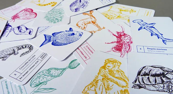 Fonds Perdus – Agence de graphisme Bordeaux