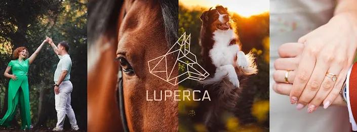 Luperca Graphiste Photographe Amiens